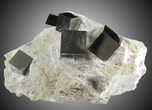 Museum Quality Pyrite Cube Cluster In Matrix - Spain #31031-1
